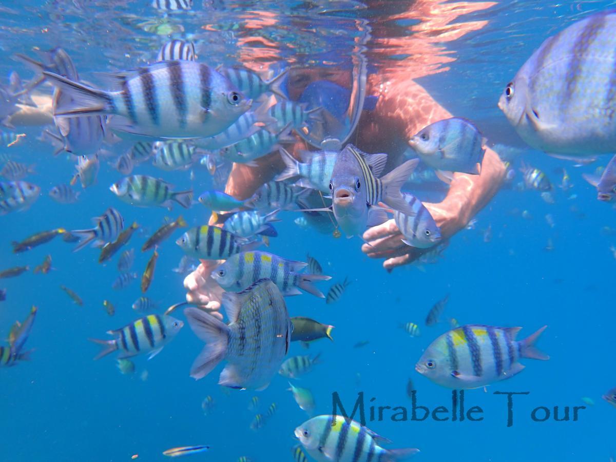 Mirabelle Joglo Village Karimunjawa Exteriér fotografie